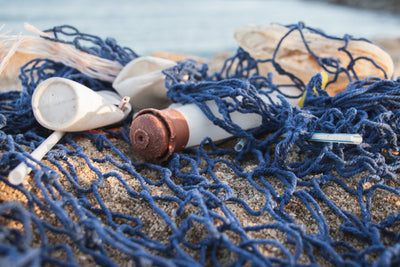 Plastic in the Marine Environment